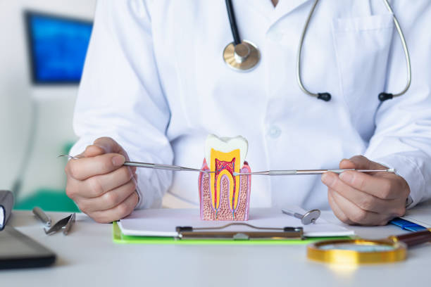 Best Root Canal Emergency Dentist  in Sparrow Bush, NY